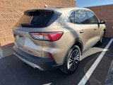 Used 2021 Ford Escape SE image 5