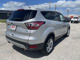 Used 2017 Ford Escape SE w/ SE Cold Weather Package image 4