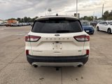 Used 2020 Ford Escape Titanium image 6