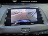 Used 2023 Cadillac XT4 Premium Luxury image 4