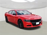 Used 2023 Dodge Charger SXT w/ Blacktop Package image 3