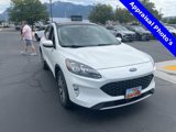 Used 2020 Ford Escape Titanium image 2