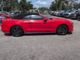 Used 2022 Ford Mustang Premium image 2