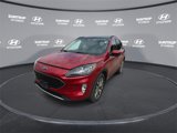Used 2020 Ford Escape Titanium w/ Titanium Premium Package 2.0 image 6