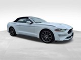 Used 2019 Ford Mustang Premium w/ Equipment Group 201A image 1
