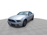 Used 2014 Ford Mustang Premium w/ Comfort Package image 3