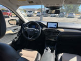 Used 2022 Ford Escape Titanium w/ Titanium Elite Package image 6