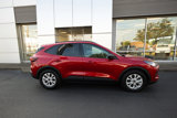 Certified 2025 Ford Escape Active w/ Tech Pack #1 image 2