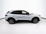 Used 2021 Ford Escape SE w/ Convenience Package image 4