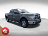 Used 2011 Ford F150 XLT w/ XLT Chrome Pkg image 1