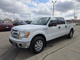Used 2014 Ford F150 XLT w/ Equipment Group 302A Luxury image 3