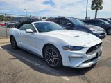 Used 2022 Ford Mustang Premium image 3