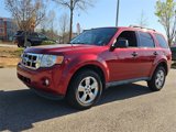 Used 2012 Ford Escape XLT image 3