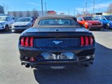 Used 2022 Ford Mustang Premium image 6