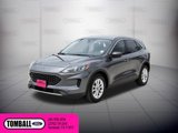 Used 2022 Ford Escape SE w/ Convenience Package image 3