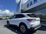 Used 2020 Ford Escape SEL image 4