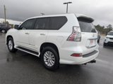 Used 2018 Lexus GX 460 Premium image 6