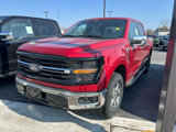 New 2025 Ford F150 XLT w/ Equipment Group 302A MID image 4