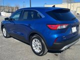 Certified 2022 Ford Escape SE w/ Cold Weather Package image 3