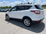 Used 2018 Ford Escape SE w/ SE Sync 3 Package image 3