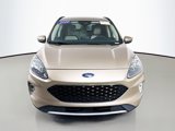 Certified 2020 Ford Escape Titanium image 2