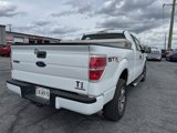 Used 2013 Ford F150 STX w/ Mid Equipment Group image 5