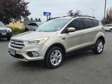 Used 2018 Ford Escape SEL image 3
