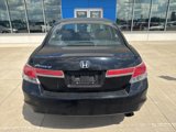 Used 2011 Honda Accord EX image 4