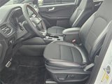 Used 2023 Ford Escape ST-Line w/ Tech Pack #1 image 4