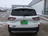 Used 2022 Ford Escape Titanium image 4