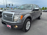 Used 2012 Ford F150 Platinum image 6