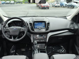 Used 2019 Ford Escape SE image 4
