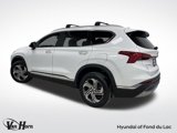 Used 2022 Hyundai Santa Fe SEL w/ Convenience + Premium Package image 4