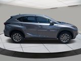 Used 2019 Lexus NX 300h AWD w/ Comfort Package image 6