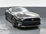 Used 2023 Ford Mustang Premium image 3