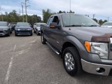 Used 2014 Ford F150 XLT w/ Equipment Group 302A Luxury image 4