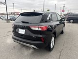 Used 2022 Ford Escape SE w/ Convenience Package image 5