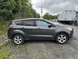 Used 2016 Ford Escape SE image 2