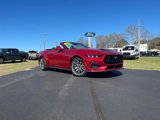 Certified 2024 Ford Mustang GT Premium image 3