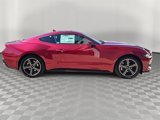 New 2025 Ford Mustang Coupe image 2