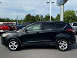 Used 2014 Ford Escape SE w/ Equipment Group 201A image 2