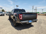 Certified 2023 Ford F150 Raptor w/ Blue Interior Package image 5