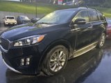 Used 2017 Kia Sorento SX image 3