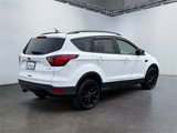 Used 2019 Ford Escape SE image 5