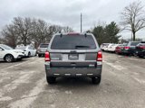 Used 2010 Ford Escape XLT image 6