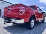 Used 2013 Ford F150 XLT w/ Luxury Equipment Group image 6