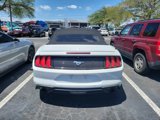 Used 2018 Ford Mustang Premium image 4