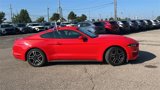 Certified 2021 Ford Mustang Coupe w/ Equipment Group 101A image 3