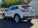 Used 2020 Ford Escape SE image 4