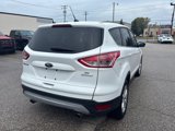 Used 2013 Ford Escape SE image 5
